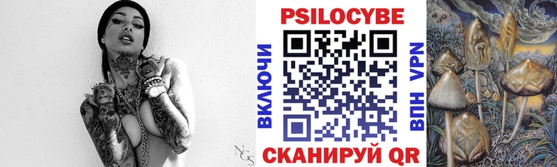 Псилоцибиновые грибы Cubensis  Купить где  Истра 